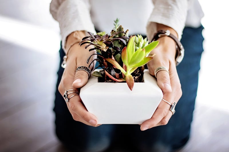 Fabric Plant Holder